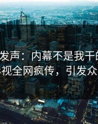 大V深夜发声：内幕不是我干的！人人影视全网疯传，引发众怒