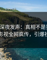 神秘人深夜发声：真相不是我干的！人人影视全网疯传，引爆社交圈